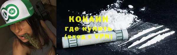 гидра Аркадак