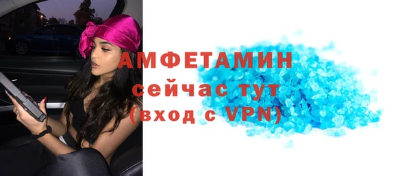 гидра Аркадак