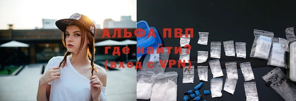 гашик Арсеньев