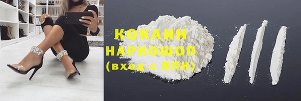 гашик Арсеньев