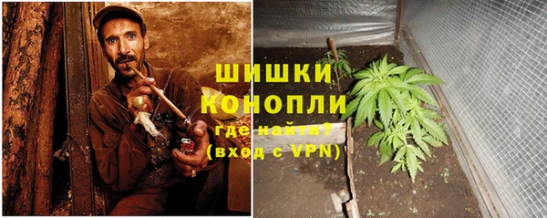 гашик Арсеньев