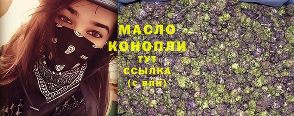 гашик Арсеньев
