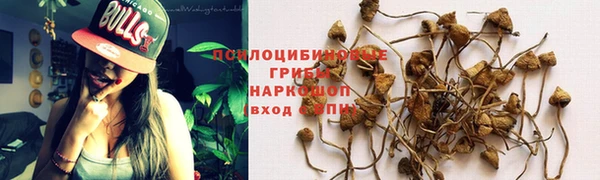 гашик Арсеньев